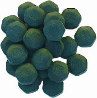 Marcus Rohrer Spirulina