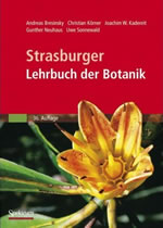 Bestellen Sie bei Amazon